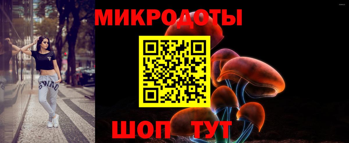 Черногорск  закладка  Вход с VPN  Псилоцибиновые грибы мухоморы 